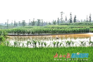 普润乡蔡家店村 水利设施改善助力村民发展水产养殖