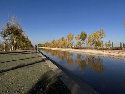 让黄河水遍地生“金”——内蒙古河套灌区推进现代化灌区建设见闻与水电工程建设监理